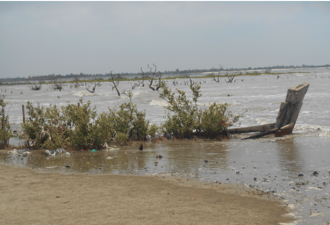 Reimagining the Indian Sundarbans