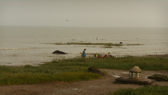 Reimagining the Indian Sundarbans