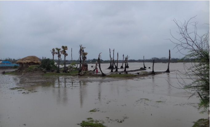 Reimagining the Indian Sundarbans