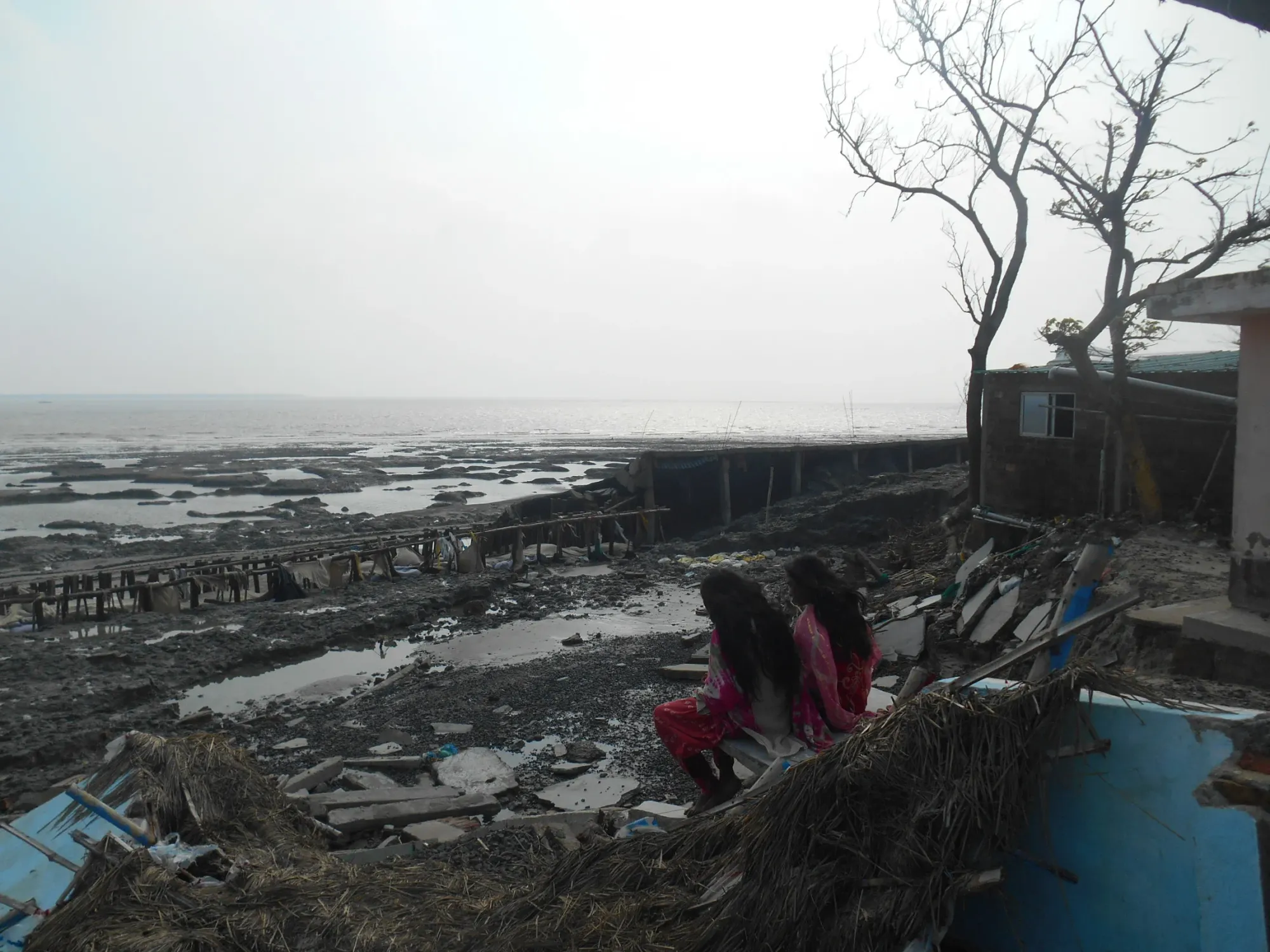 Reimagining the Indian Sundarbans