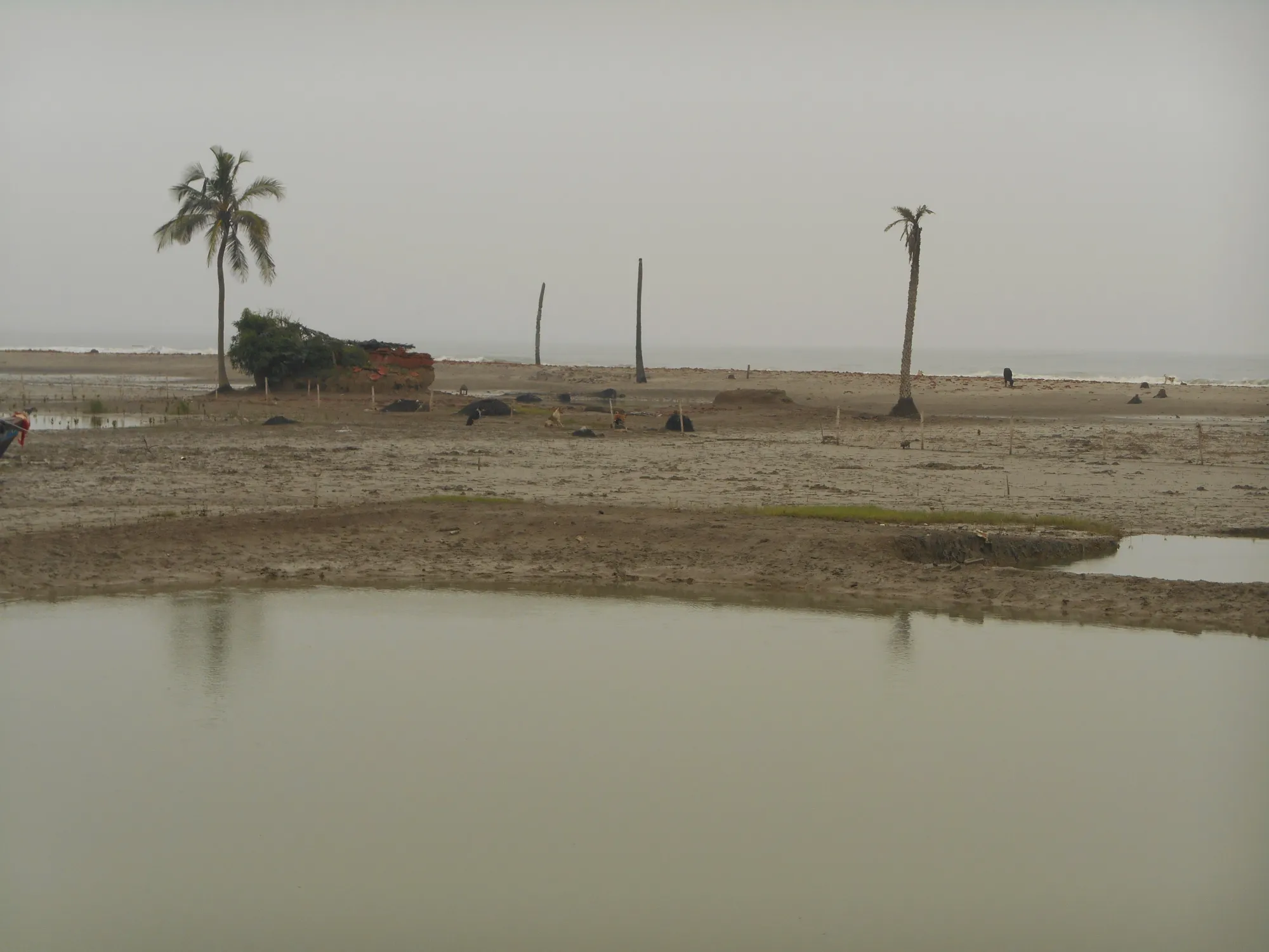 Reimagining the Indian Sundarbans