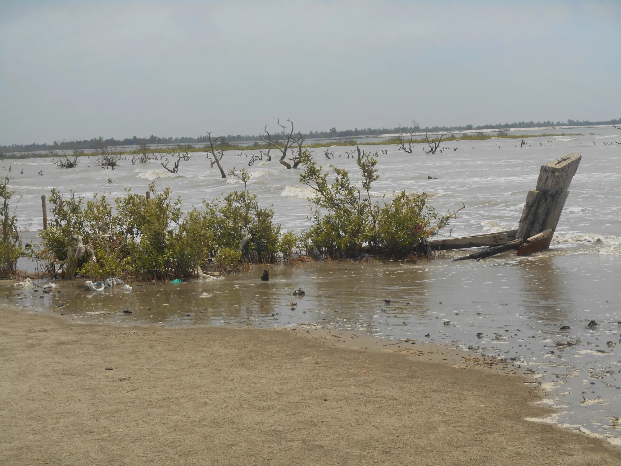 Reimagining the Indian Sundarbans