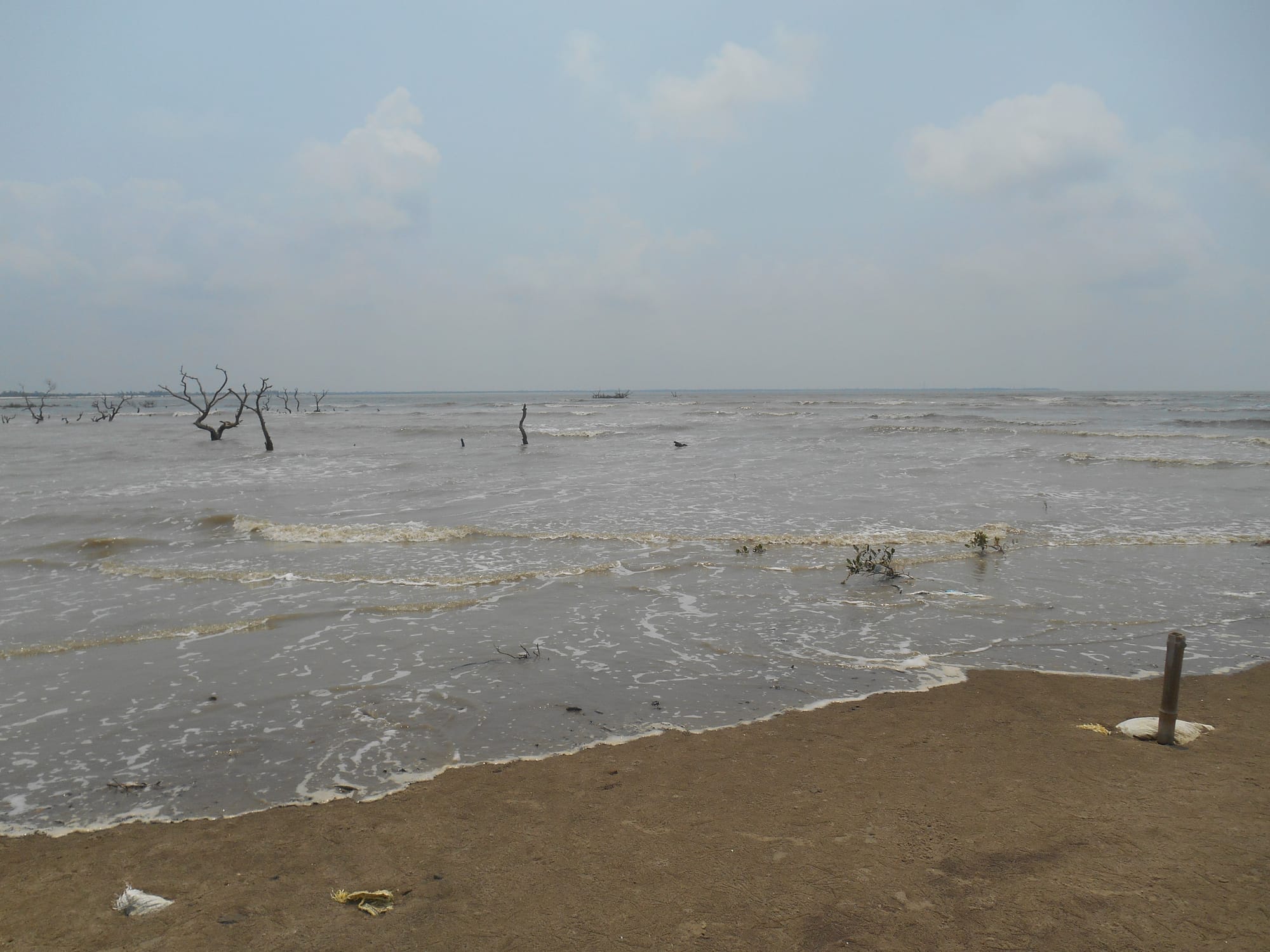 Reimaging Indian Sundarbans 9