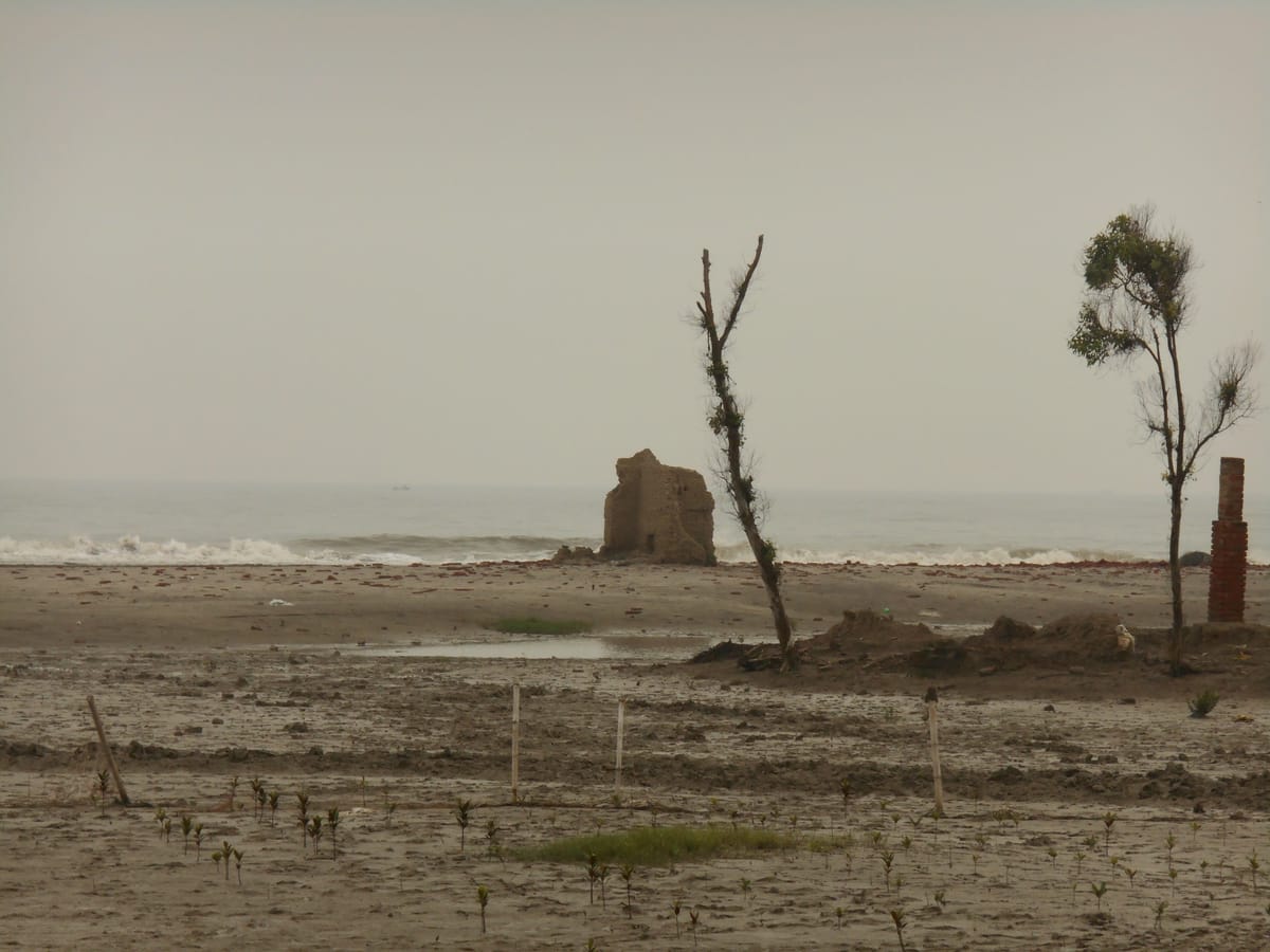 Reimaging Indian Sundarbans 1