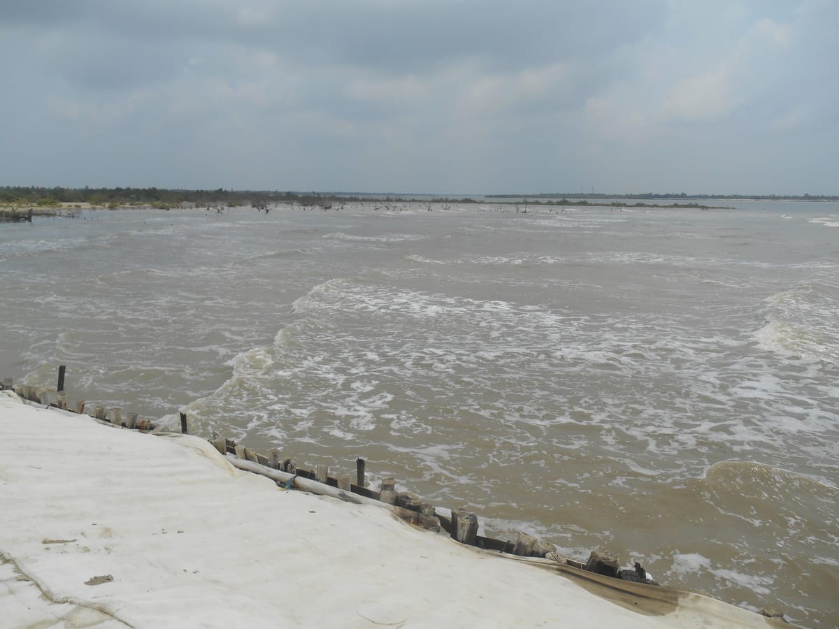 Reimaging Indian Sundarbans 7