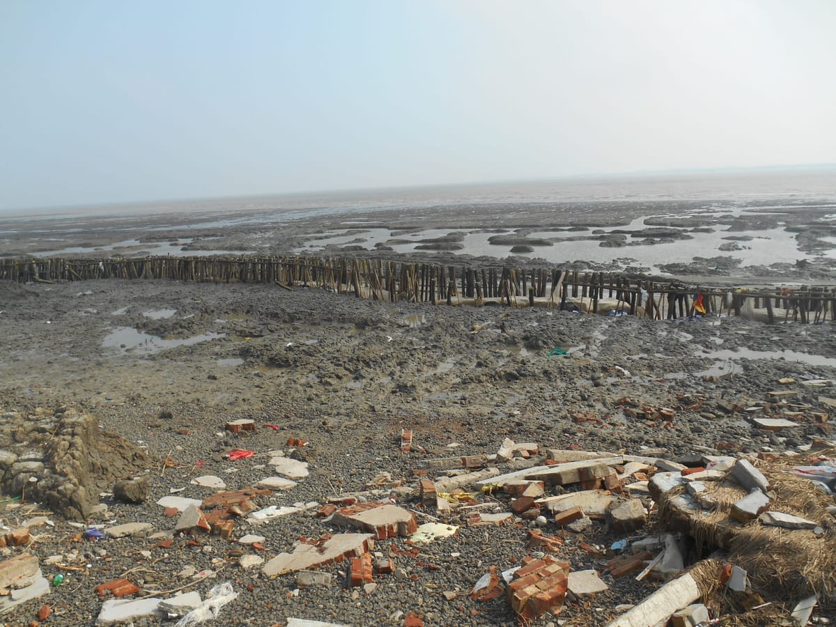 Reimaging Indian Sundarbans 6