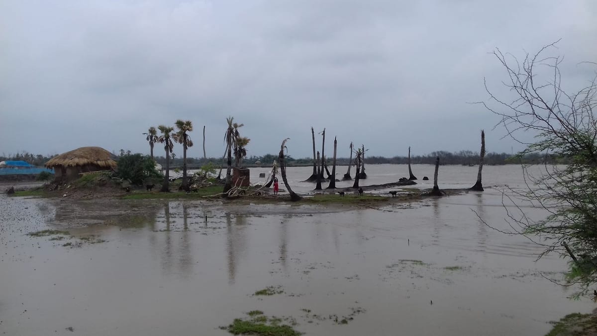 Reimaging Indian Sundarbans 5