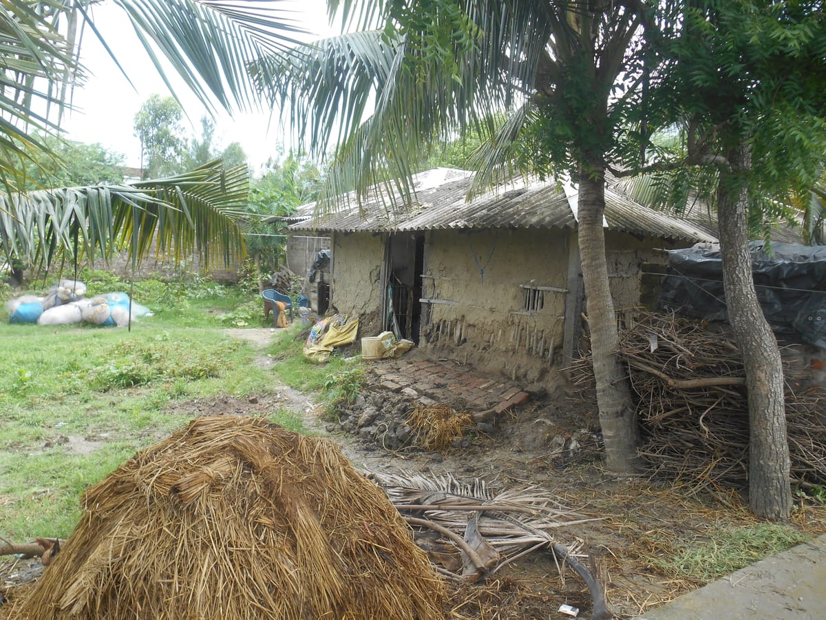 Reimaging Indian Sundarbans 2