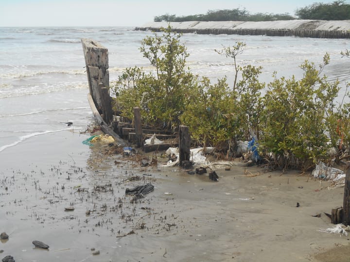 Reimaging Indian Sundarbans 10