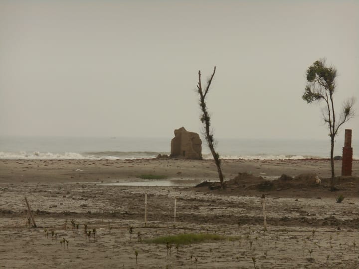 Reimaging Indian Sundarbans 1