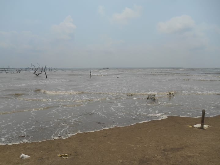 Reimaging Indian Sundarbans 9