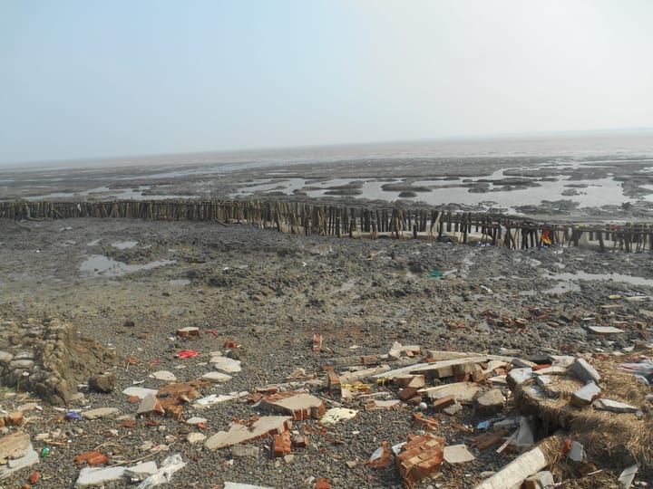 Reimaging Indian Sundarbans 6